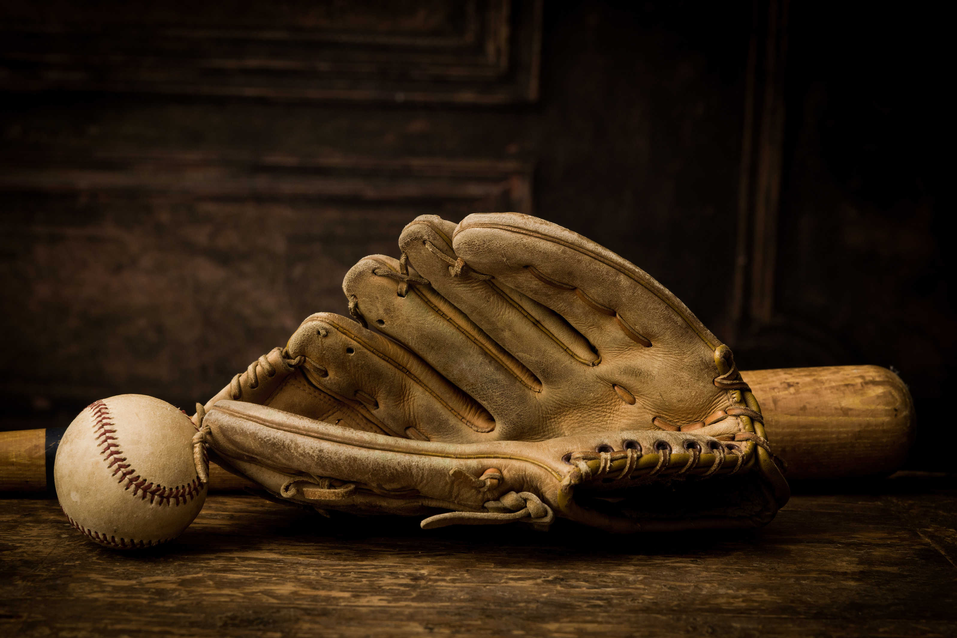 Baseball Gloves, Ball, and Bat